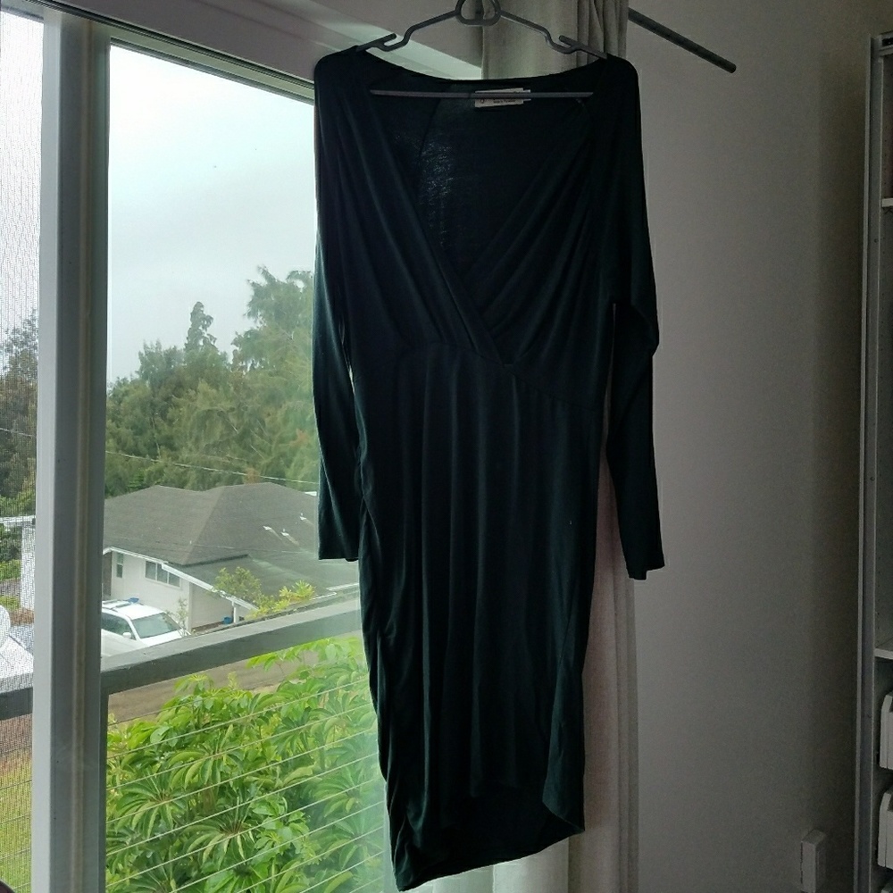 Fighting Eel Dress Large